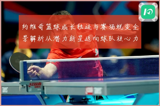 约维奇篮球成长轨迹与赛场蜕变全景解析从潜力新星迈向球队核心力量之路