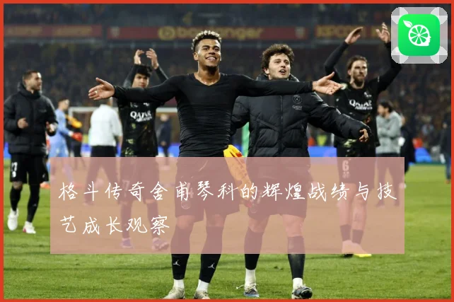 格斗传奇舍甫琴科的辉煌战绩与技艺成长观察