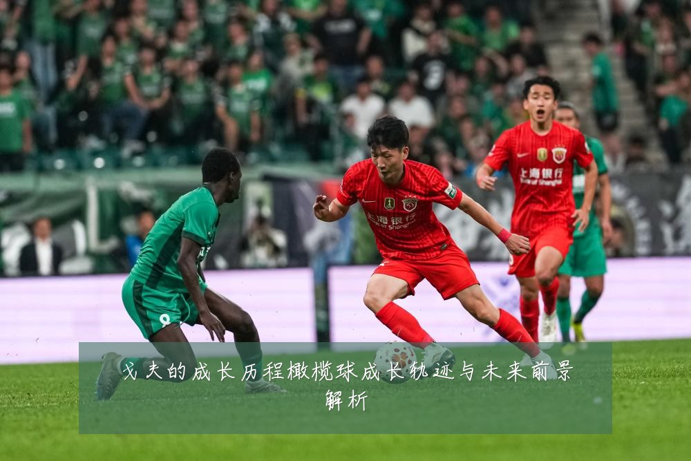 戈夫的成长历程橄榄球成长轨迹与未来前景解析