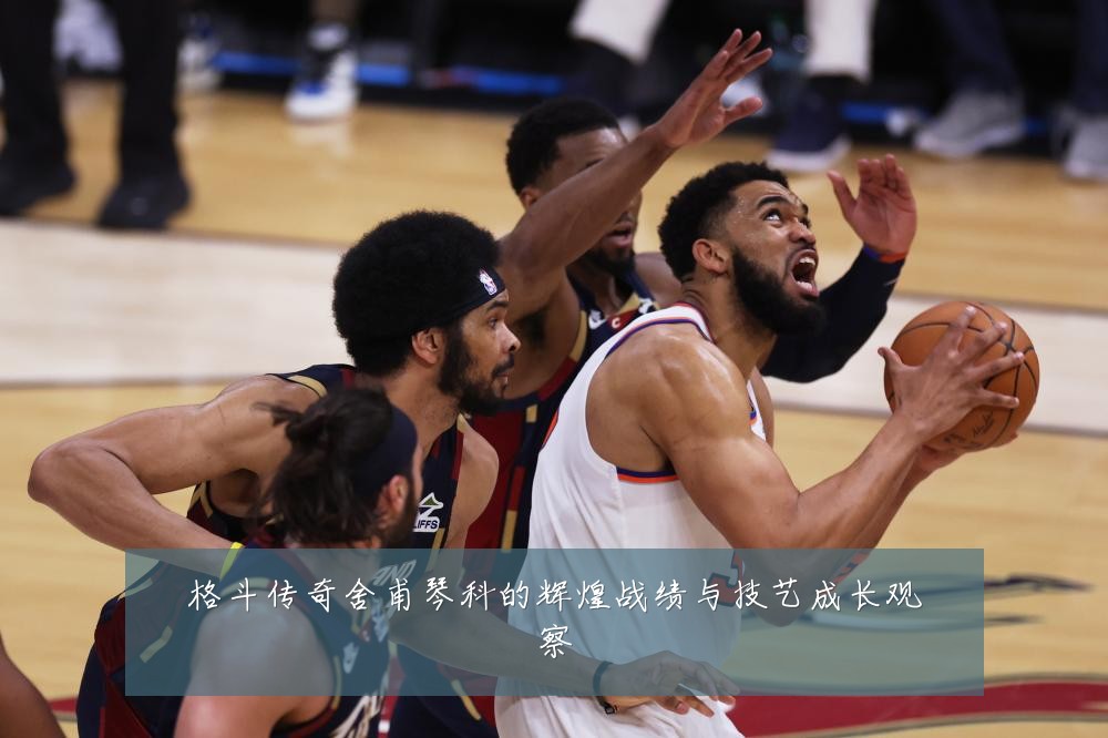 格斗传奇舍甫琴科的辉煌战绩与技艺成长观察
